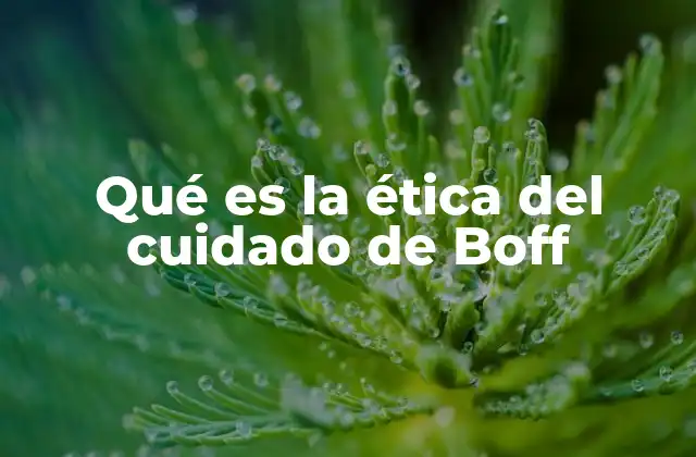 Qué es la Ética Del Cuidado de Boff