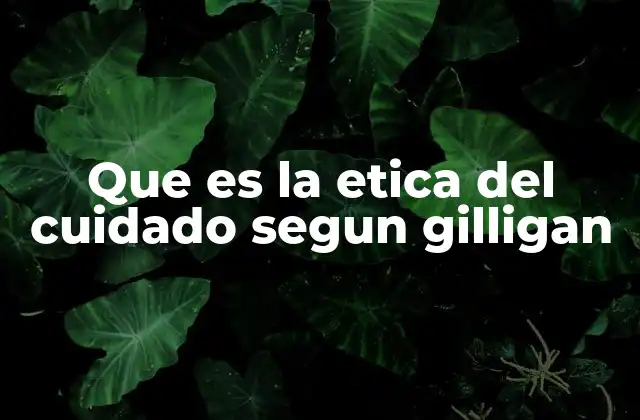 Que es la Etica Del Cuidado Segun Gilligan