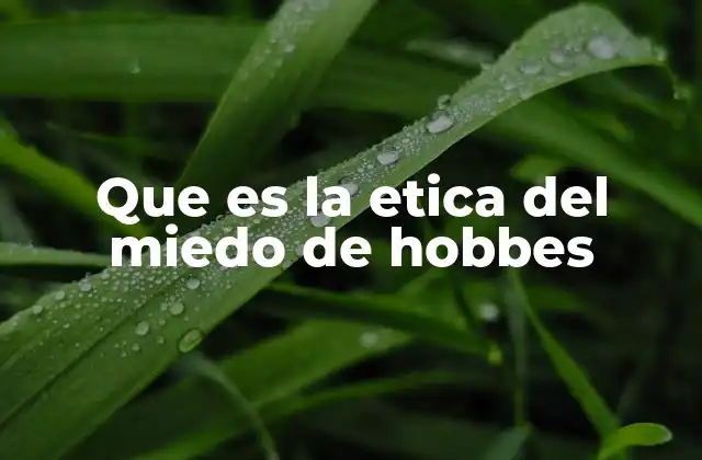 Que es la Etica Del Miedo de Hobbes
