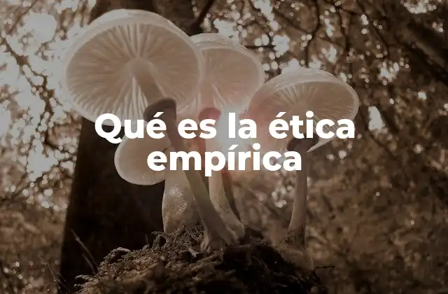 Qué es la Ética Empírica