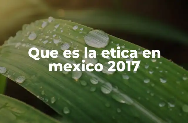 Que es la Etica en Mexico 2017