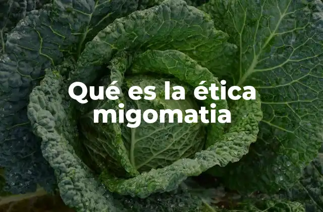 Qué es la Ética Migomatia