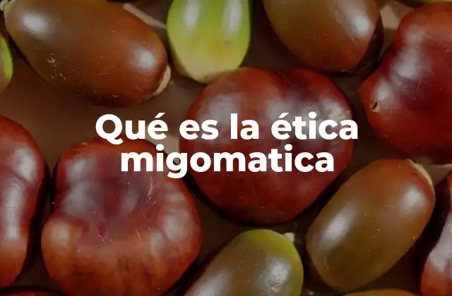 Qué es la Ética Migomatica