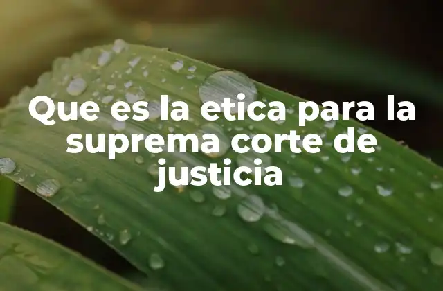 Que es la Etica para la Suprema Corte de Justicia