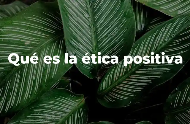 Qué es la Ética Positiva 2 El enfoque ético en el bienestar colectivo