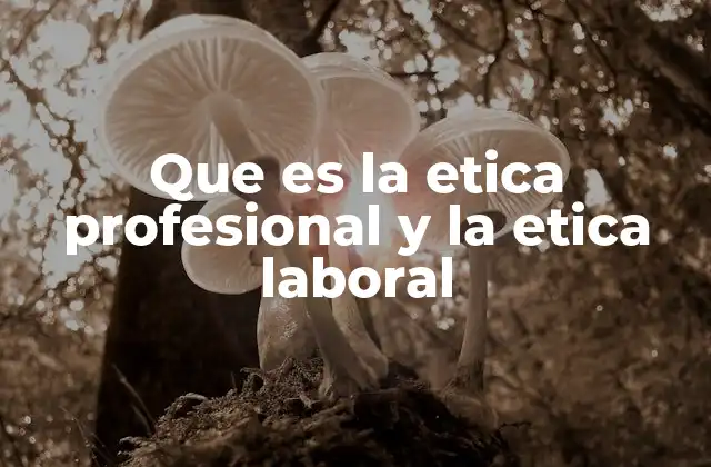 Que es la Etica Profesional y la Etica Laboral