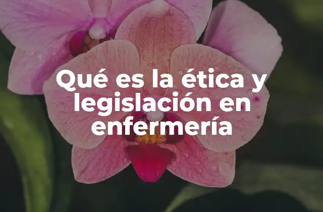 Qué es la Ética y Legislación en Enfermería