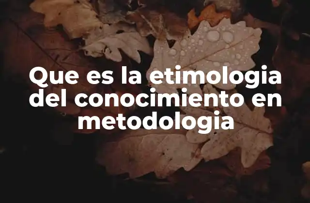 Que es la Etimologia Del Conocimiento en Metodologia