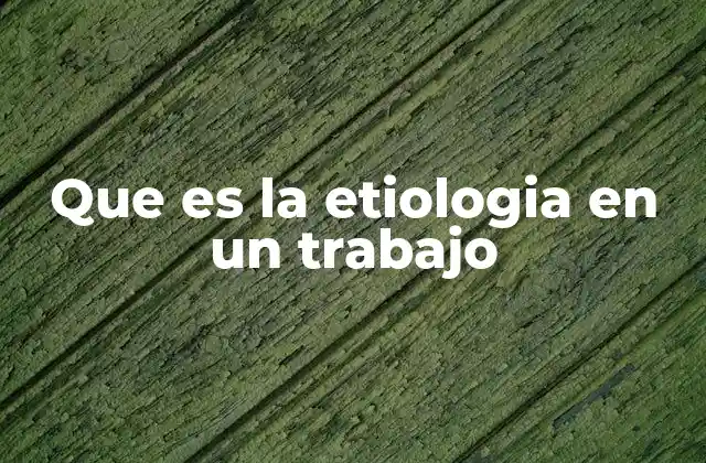 El papel de la etiología en la estructura de un trabajo de investigación