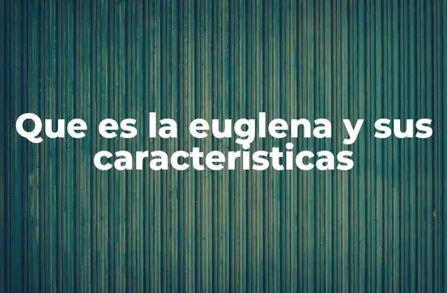 Que es la Euglena y Sus Caracteristicas