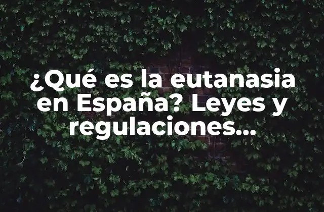 ¿qué es la Eutanasia en España? Leyes y Regulaciones Actualizadas