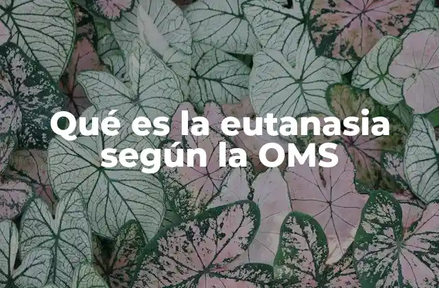 Qué es la Eutanasia según la Oms
