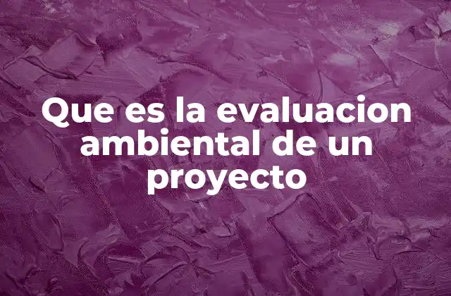 Que es la Evaluacion Ambiental de un Proyecto