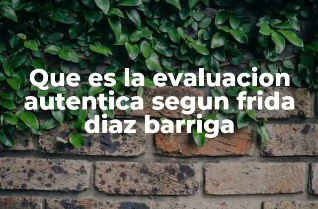 Que es la Evaluacion Autentica Segun Frida Diaz Barriga