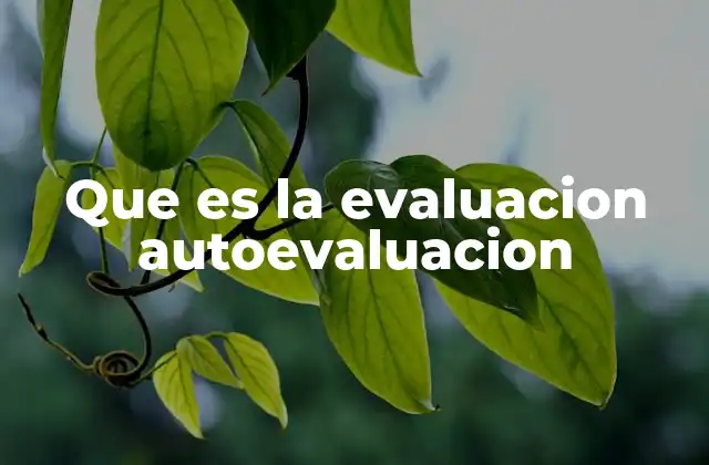 Que es la Evaluacion Autoevaluacion
