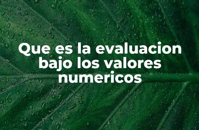 Que es la Evaluacion bajo los Valores Numericos