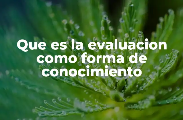 Que es la Evaluacion como Forma de Conocimiento