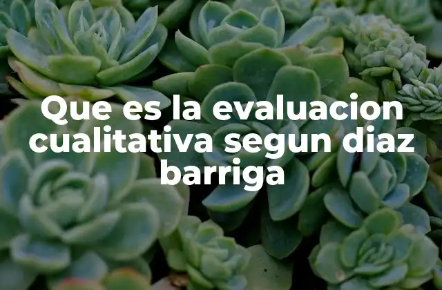 Que es la Evaluacion Cualitativa Segun Diaz Barriga