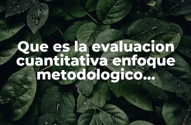 Que es la Evaluacion Cuantitativa Enfoque Metodologico Educativa