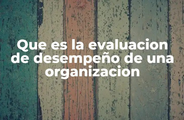 Que es la Evaluacion de Desempeño de una Organizacion