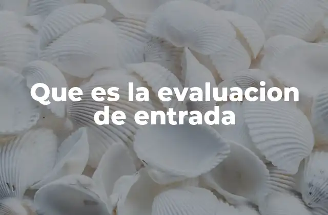 Que es la Evaluacion de Entrada