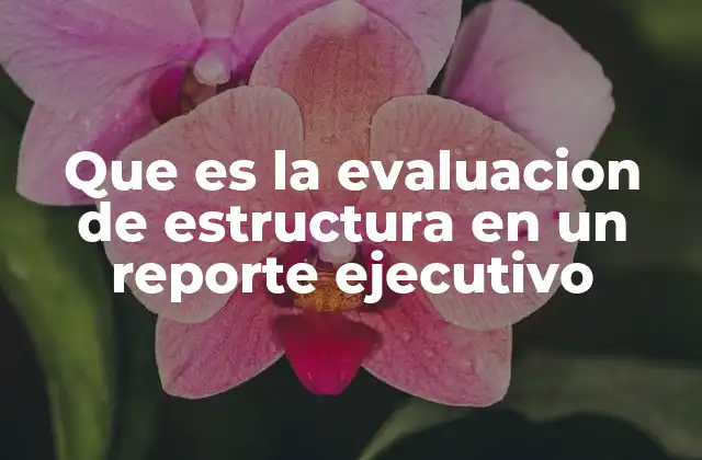 Que es la Evaluacion de Estructura en un Reporte Ejecutivo