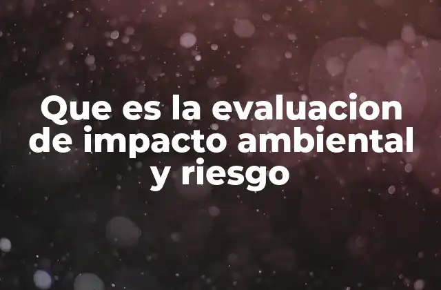 Que es la Evaluacion de Impacto Ambiental y Riesgo