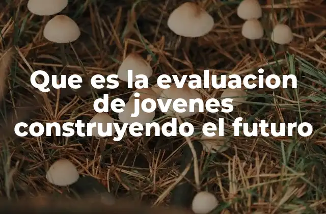 Que es la Evaluacion de Jovenes Construyendo el Futuro