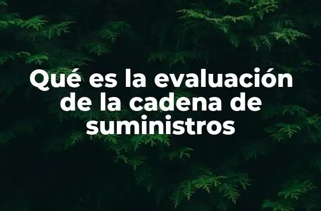 Qué es la Evaluación de la Cadena de Suministros