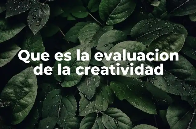 Que es la Evaluacion de la Creatividad