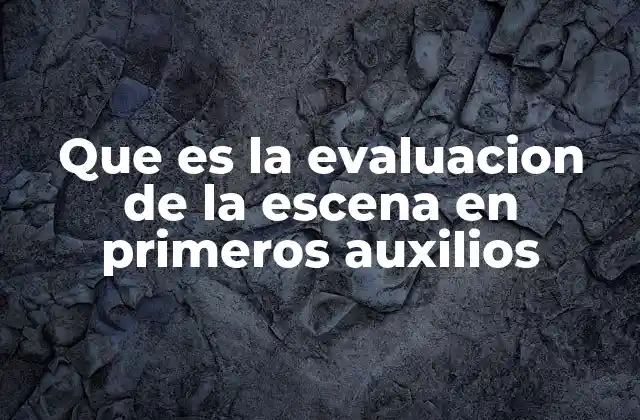 Que es la Evaluacion de la Escena en Primeros Auxilios
