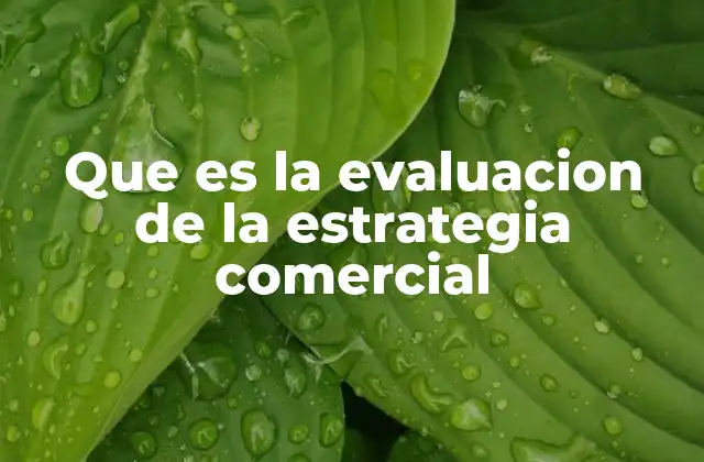 Que es la Evaluacion de la Estrategia Comercial