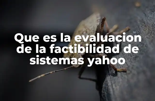 Que es la Evaluacion de la Factibilidad de Sistemas Yahoo