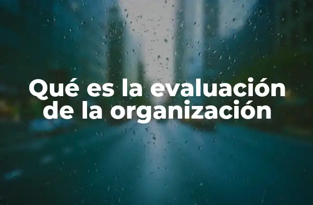 Qué es la Evaluación de la Organización