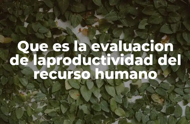 Que es la Evaluacion de Laproductividad Del Recurso Humano