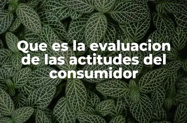 Que es la Evaluacion de las Actitudes Del Consumidor