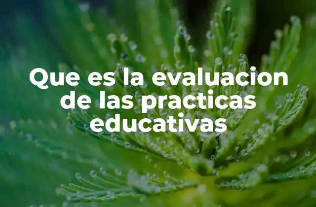 Que es la Evaluacion de las Practicas Educativas 2 El rol de la observación en el aula para la mejora de la enseñanza