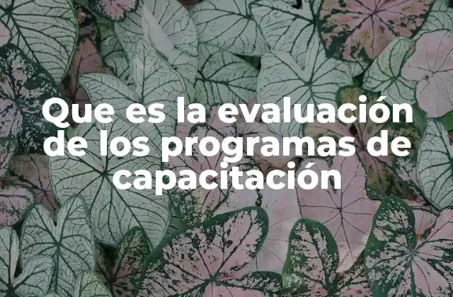 Que es la Evaluación de los Programas de Capacitación