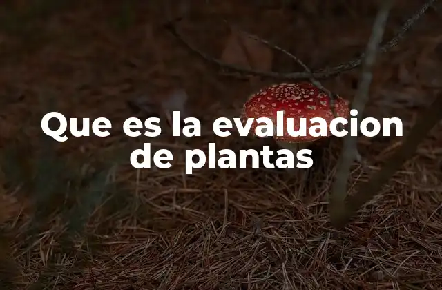 Que es la Evaluacion de Plantas