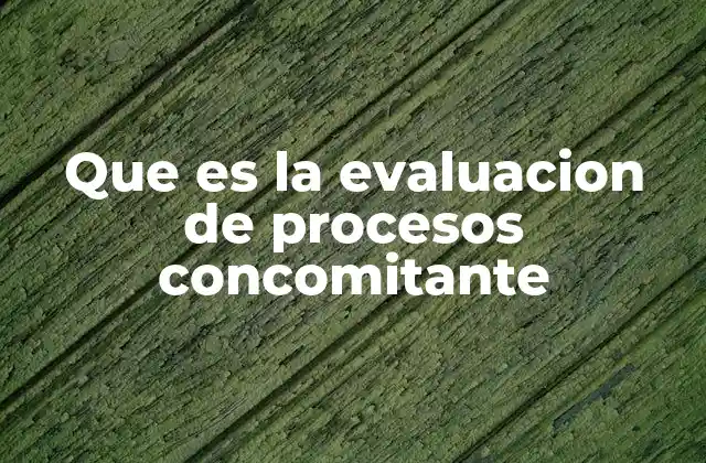 Que es la Evaluacion de Procesos Concomitante