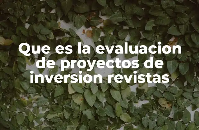 Que es la Evaluacion de Proyectos de Inversion Revistas