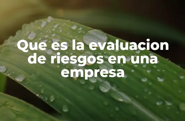 Que es la Evaluacion de Riesgos en una Empresa