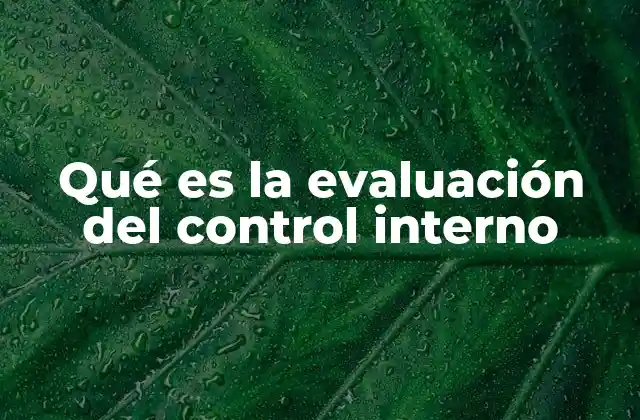 Qué es la Evaluación Del Control Interno