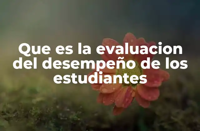 Que es la Evaluacion Del Desempeño de los Estudiantes