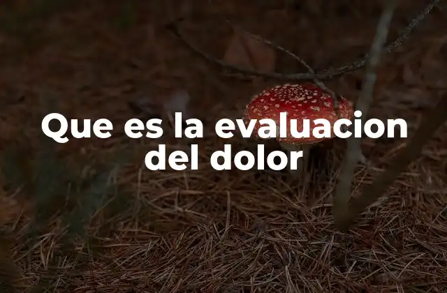 Que es la Evaluacion Del Dolor