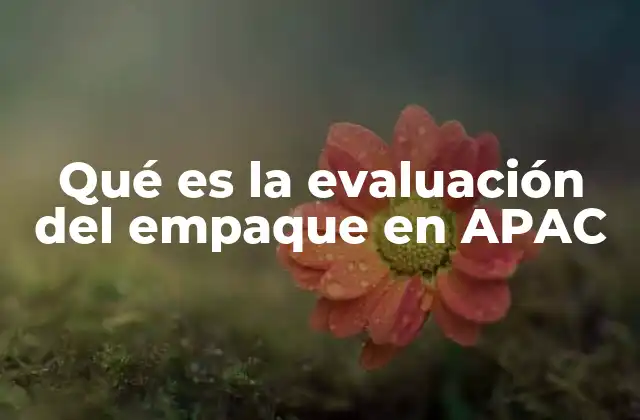 Qué es la Evaluación Del Empaque en Apac