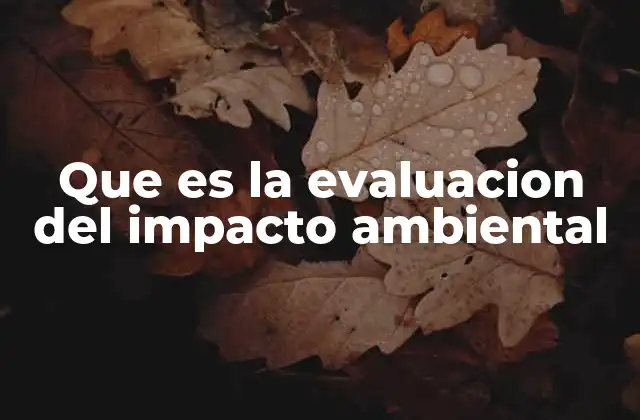 Que es la Evaluacion Del Impacto Ambiental