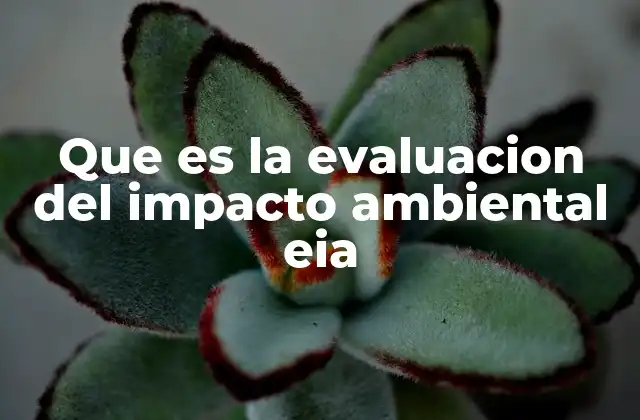 Que es la Evaluacion Del Impacto Ambiental Eia
