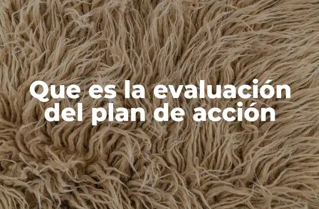 Que es la Evaluación Del Plan de Acción