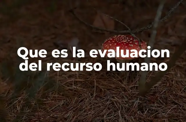 Que es la Evaluacion Del Recurso Humano